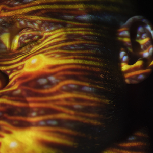 逼逼爱插插乐享网
